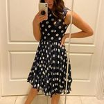 Adrianna Papell Gorgeous Navy and White Polka Dot Tea Dress with pleated skirt. Photo 1