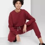 Wild Fable Cropped Sweatshirt Hoodie Pullover Wine Maroon Size Small Target Photo 1