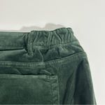 J. Jill Green Velvet Pants Size 18 Photo 5