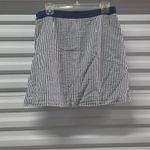 Banana Republic  Womens Skirt Sz 10P Blue Seersucker Y2K Coastal Cowgirl Preppy Photo 3