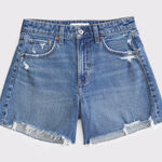 Abercrombie & Fitch  the Dad Short High Rise Jean Shorts Photo 0