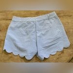 J.Crew  Women’s Blue/White Pinstripe Seersucker‎ Scalloped Short Photo 5
