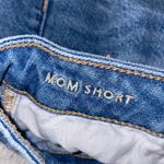 American Eagle Mom Short with embroidered little flowers Photo 5