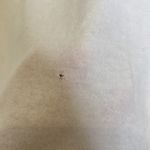 Vintage Mazatlán, Mexico Dolphin Unisex White T Photo 1