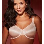 Wacoal  855303 Back Appeal Smoothing Bra 38DD Praline Beige Underwire Seamless Photo 0