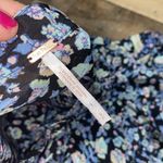 Free People blouse skyway drive in boho blouson small sash shirt Photo 4