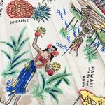 J.Crew Skirt Hawaiian Theme Hawaii Tropical Pleated 0 Photo 2