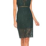Bardot Lace Panel Dress Photo 4