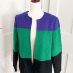 Max Studio Colorblocked Long Jacket Photo 2