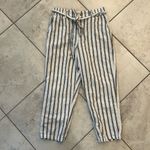 American Eagle  Linen Striped Pants MEDIUM Photo 1