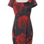 Escada Poppy floral Sheath Dress Size 4 Photo 0