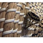 West Germany black onyx cubic zirconia twisted gold tone adjustable band VTG Photo 3