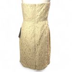 J.Crew NEW Kelsey Strapless Dress in Leavers Lace Size 8 Style b7678 Champagne Photo 2