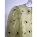 ZARA  sheer sexy green Embroidered Organza blouse with red roses medium Photo 6