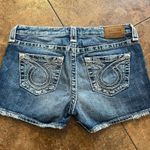 Big star Maddie Jean Shorts Size 27 Photo 7