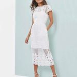Ted Baker  London Emelia Lace Eyelet Tulip Dress Women’s Size 2 in White - EUC! Photo 12