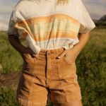 Wrangler X ATG Corduroy Hiking Shorts Photo 0