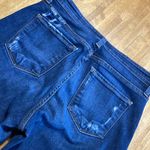 Vervet Pookie loves sebastian Flying Monkey 27 Photo 4