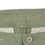 Jag jeans  Plus Size 22W Classic Fit Crop Green Embroidered Pink Polka Dots NWT Photo 3