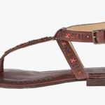 Frye  Carson Brown Leather Boho Thong Sandals Sz 7 Photo 1