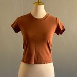 Cleo Harper Burnt Orange Baby Tee Crop Top | Size: M Size M Photo 0