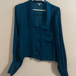 Naked Zebra  Deep Blue Blouse Photo 0