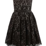 Robert Rodriguez  Black Lace Strapless Fit Flare Mini Cocktail Dress Size 8 Photo 5