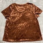 Bagatelle  Velvet Short Sleeve Top Sz L Copper Rich Brown Photo 3