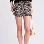 Banana Republic Heritage Collection Printed Soft Shorts, limited edition, size S Photo 0