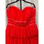 Hutch  Evi Strapless Plissé Gown Red Romantic Floral Size 14 W Plus NWT Gorgeous Photo 2