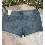 American Rag  jean shorts Photo 1