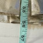 Retrofête RETROFETE Josie Metallic Maxi Strapless Gown Champagne Medium Photo 12