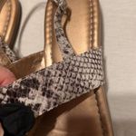 BCBGeneration sz 7 gold sandals w/black flower & snake print straps GUC No box Photo 9