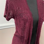 Cloud Chaser Burgundy Lace Short Sleeve Cardigan Photo 1