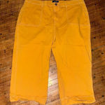 Modcloth marigold size 24 cropped normcore pants Photo 0