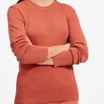 Everlane The Soft Cotton Crew Sweater in Spanish Clay Photo 9