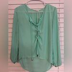 Olivaceous  Teal Top Photo 0