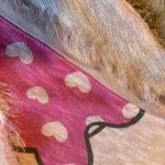 Disney , medium, cute, comfy, pink Minnie Mouse shirt Photo 5