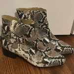 Talbots  DAKOTA BUCKLE ANKLE BOOTS - PYTHON EMBOSSED LEATHER SIZE 8.5 New w/o Box Photo 0