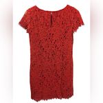 ZARA  Red Lace Dress Short Sleeve Lined Sheath Sz XS Cocktail Business Event Photo 1