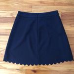 Banana Republic Pretty  Aline Mini Skirt Sz 2 Photo 7