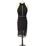 Bardot  Kara Lace Halter Midi Dress Backless Party Sheath Sheer Gemma LBD Size 6 Photo 2