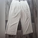 Ann Taylor  Factory Beige Trousers Photo 0