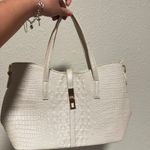 Elegant Cream Crocodile Photo 0