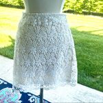 ZARA  Ivory Lace Scalloped Hem Lined Mini Skirt Photo 4