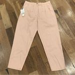 Anthropologie New Beatrice Italia Tessuto Pleated Light Pink Blush Jean Size 31 Photo 3