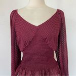 DR2 Brand Maroon Textured Smocked Long Sleeve V-Neck Blouse Photo 1