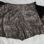 Zara short Silver Photo 1