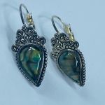 Multicolor Abalone Shell Pierced Earrings in Silver Tone Metal Photo 1