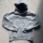 Aritzia Sweatfleece perfect fit hoodie Photo 0